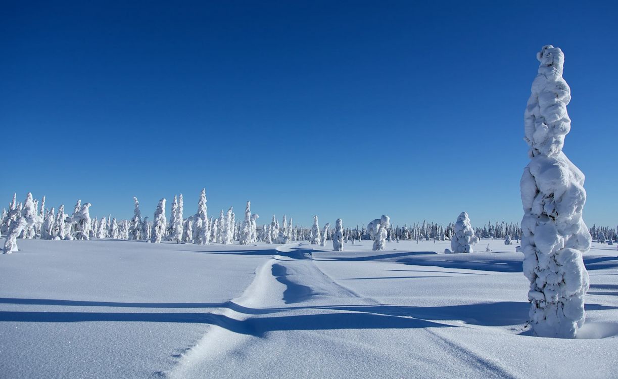 snow covered road during daytime