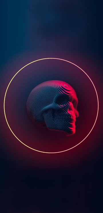 Image skull, skull slice, magenta, neon, bone