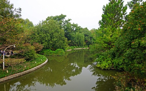 Image green trees beside river during daytime