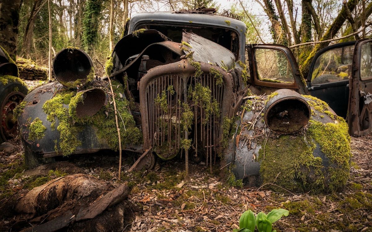 Rust, Voiture Classique, Roi, Voiture Compacte, Voiture de Taille Moyenne. Wallpaper in 1920x1200 Resolution