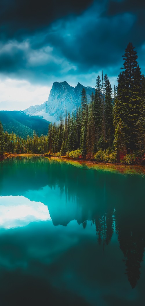 Image reflection, water, cloud, mountain, plant