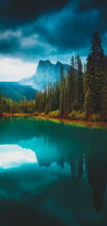 reflection, water, cloud, mountain, plant