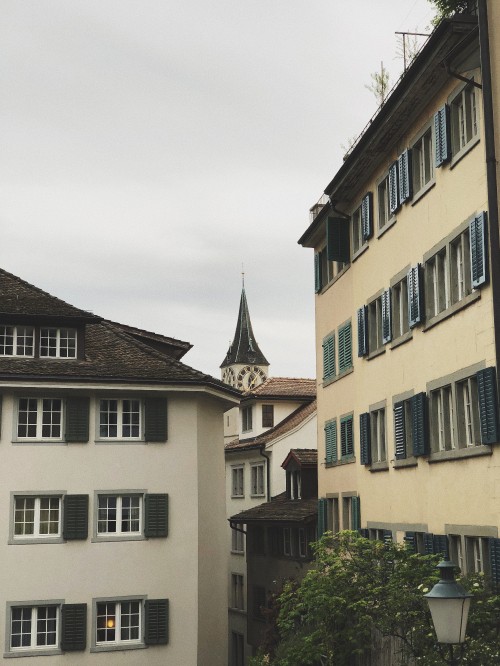 Image Grossmnster, window, facade, neighbourhood, building