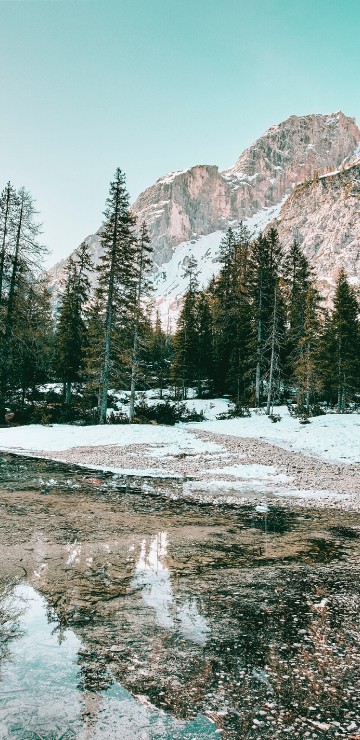 Image winter, water resources, mountain, water, plant