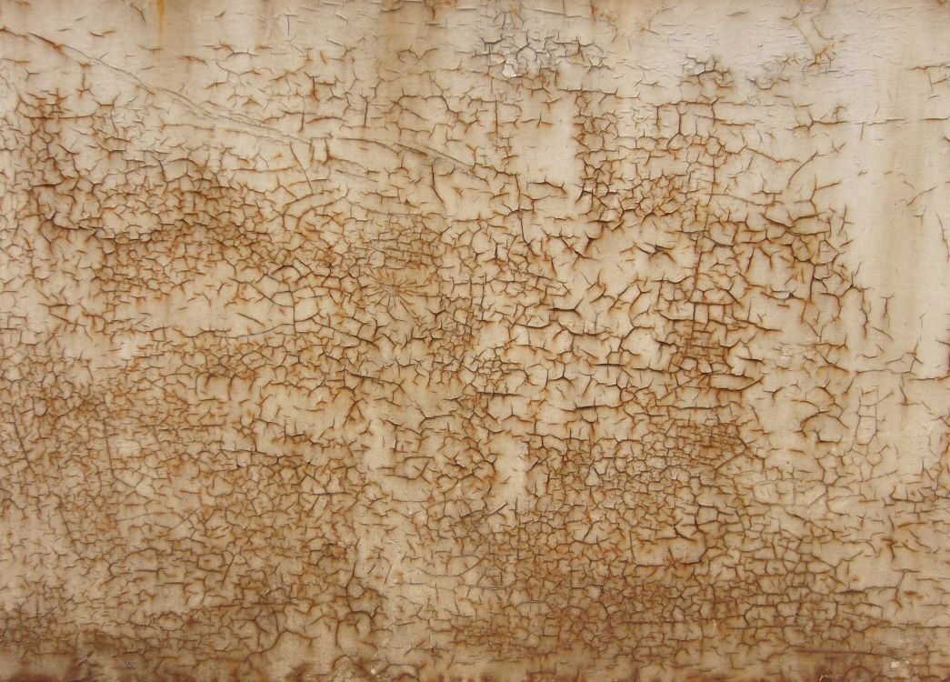 Textil Floral Marrón y Blanco. Wallpaper in 2560x1836 Resolution