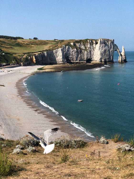 aval cliff, promontory, headland, body of water, coast