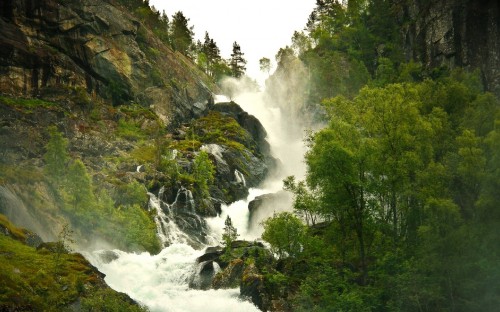 Image waterfalls in the middle of green trees