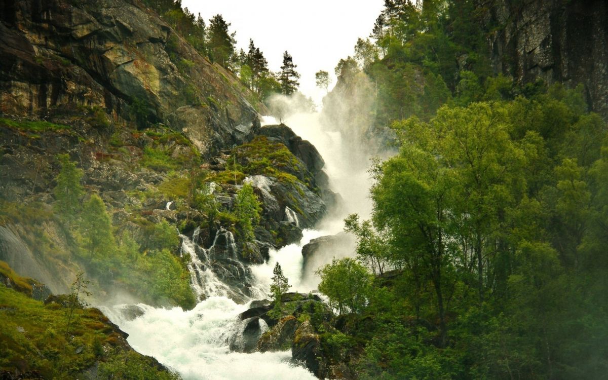 waterfalls in the middle of green trees