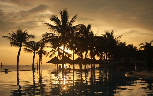 Image silhouette of palm trees near body of water during sunset