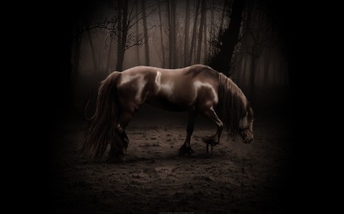 Image brown horse in forest during daytime