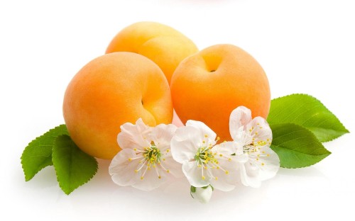 Image leaves flowers and fruit, Apricot, fruit, flower, flowering plant