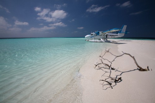 Image white and blue boat on sea during daytime