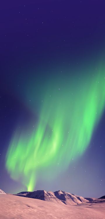  Infinix Hot 6X, Xiaomi Redmi Note 8 Pro, Xiaomi Redmi 8, Smartphone, Xiaomi mi 8. Wallpaper in 720x1500 Resolution