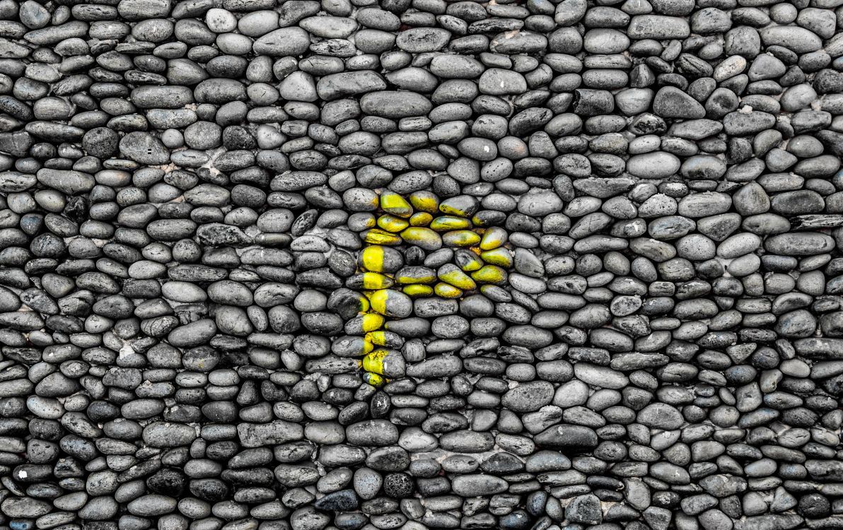 Chenille Jaune et Noire Sur Pierre Grise. Wallpaper in 2560x1610 Resolution