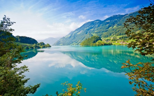 Image green trees near lake under blue sky during daytime