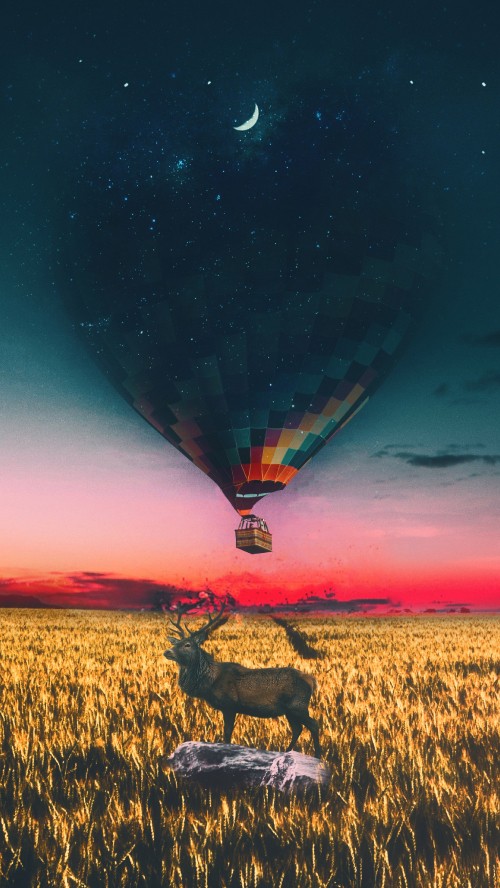 Image hot air balloon, plant, atmosphere, cloud, natural landscape