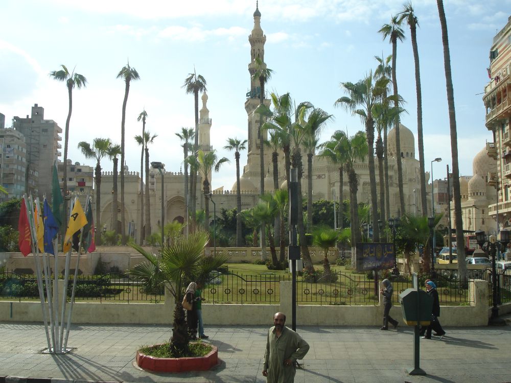 棕榈树, 旅游景点, 娱乐, 城市, 工厂 壁纸 3072x2304 允许