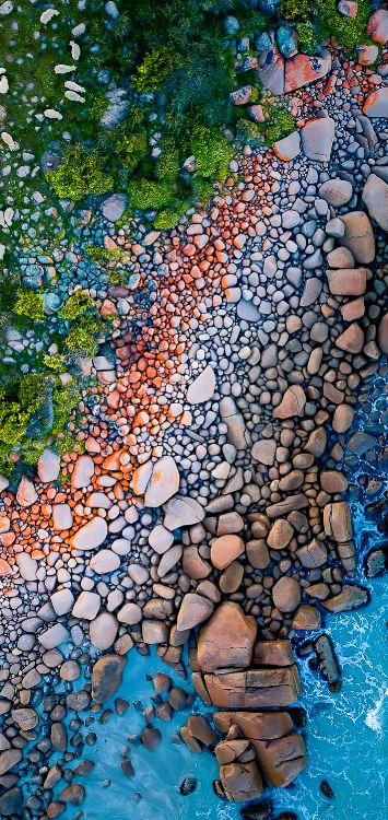 Reflection, Leaf, Paint, Natural Environment, Botany. Wallpaper in 1420x3000 Resolution