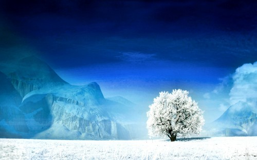 Image silhouette of trees and mountains during sunset