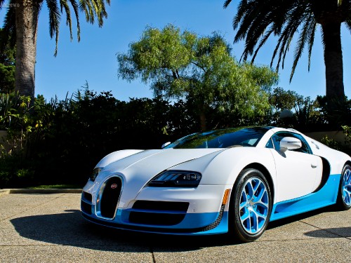 Image white porsche 911 parked near palm trees during daytime