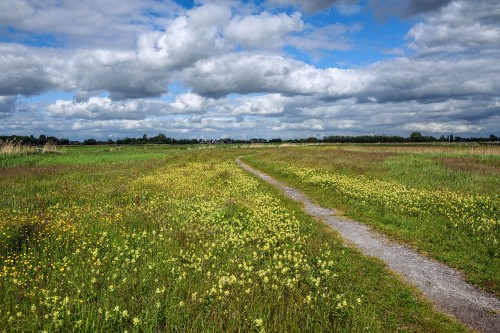 Image green grass field under white clouds and blue sky during daytime