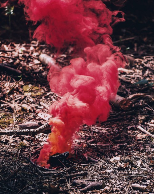 Image red smoke on brown dried leaves