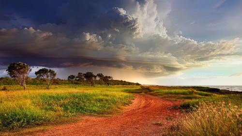 Image green grass field under cloudy sky during daytime