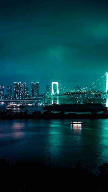 Image bridge over water near city skyline during night time