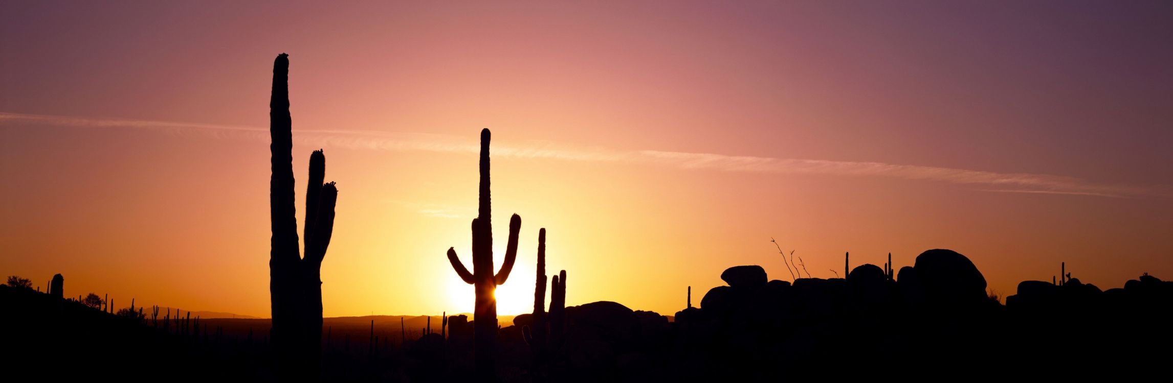 Silhouette de Cactus Pendant le Coucher du Soleil. Wallpaper in 5688x1860 Resolution