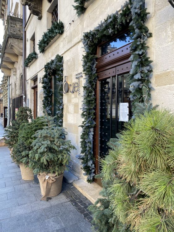 tree, christmas decoration, real estate, flowerpot, neighbourhood