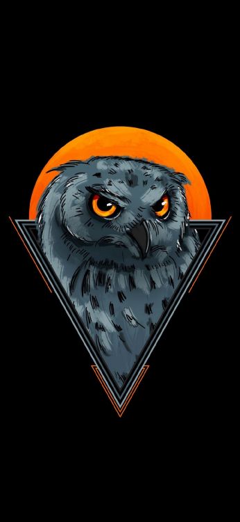 Kopf, Vogel, Auge, Eule, Schnabel. Wallpaper in 1080x2340 Resolution