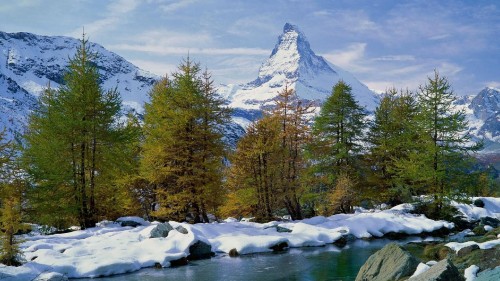 Image green trees near snow covered mountain during daytime