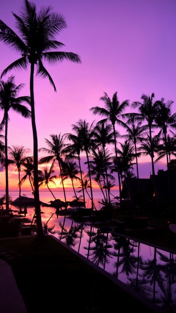 Image ko pha ngan, atmosphere, cloud, plant, afterglow