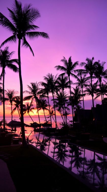 ko pha ngan, atmosphere, cloud, plant, afterglow