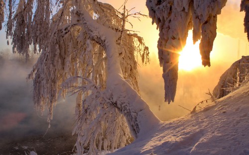 Image white snow covered mountain during daytime