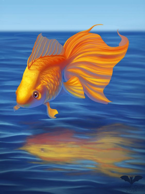 Oranger Und Weißer Fisch im Wasser. Wallpaper in 1600x2130 Resolution