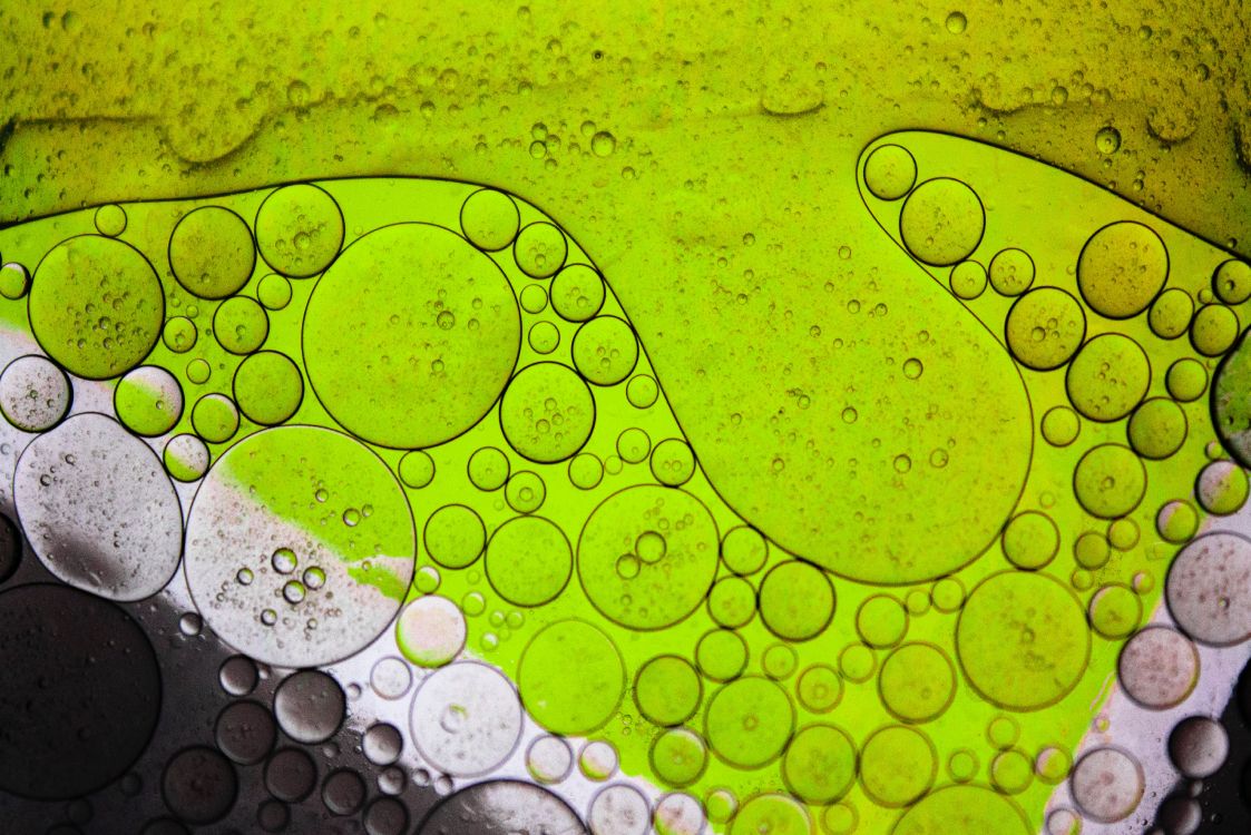 Kostenlose Hintergrundbilder Blatt Licht Wasser Gr Naturlichen Umgebung Bilder Fur Ihren Desktop Und Fotos