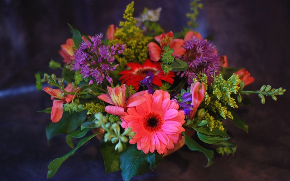 pink and yellow flowers with green leaves