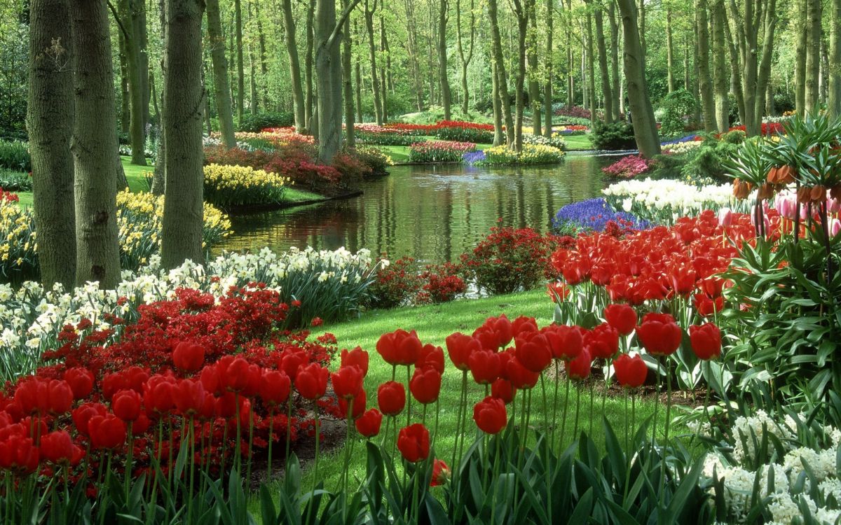 42+ Blumen In Der Nähe, Hier finden sie alle blumenläden in