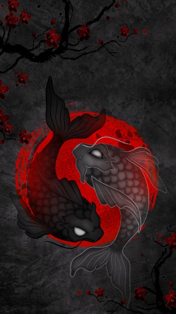 Image koi yin yang, koi, fish, yin and yang, yin yang fish