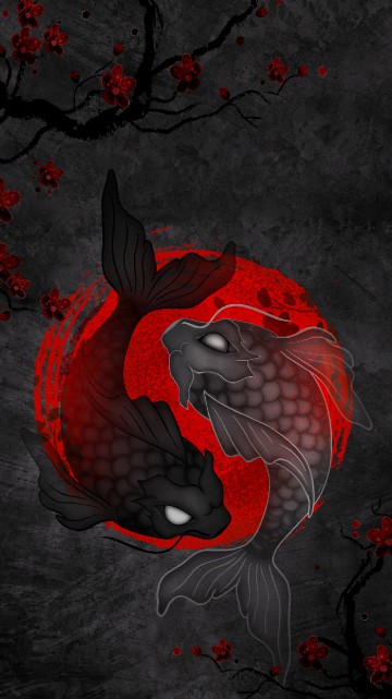 Image koi yin yang, koi, fish, yin and yang, yin yang fish