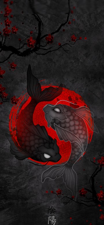 Image koi yin yang, koi, fish, yin and yang, yin yang fish