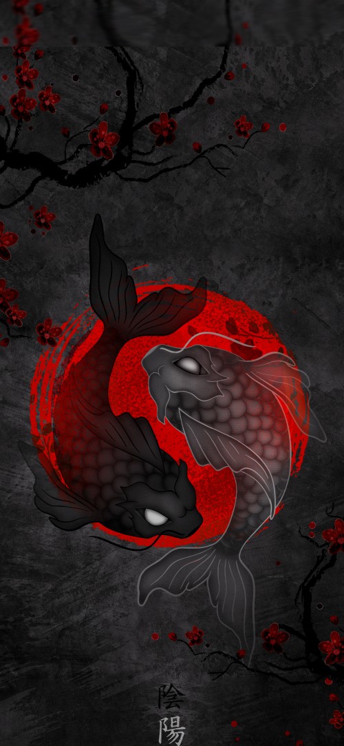 Image koi yin yang, koi, fish, yin and yang, yin yang fish