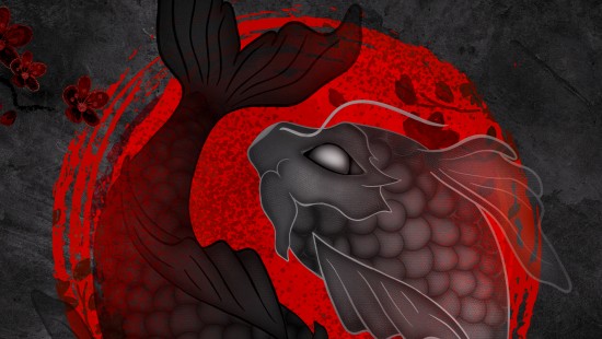 Image koi yin yang, koi, fish, yin and yang, yin yang fish