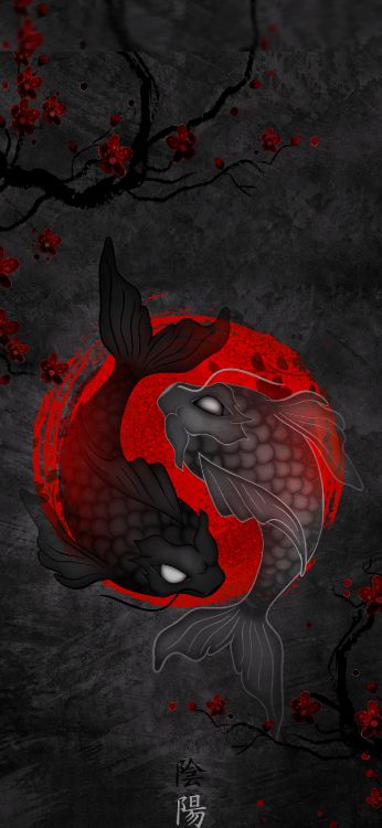Koi Yin Yang, Koi, Pescado, Yin y Yang, Pez Yin Yang. Wallpaper in 1420x3073 Resolution