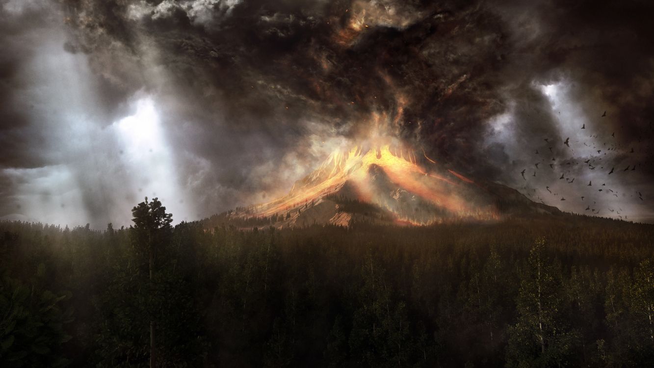 Árboles Verdes Bajo Nubes Blancas. Wallpaper in 2560x1440 Resolution