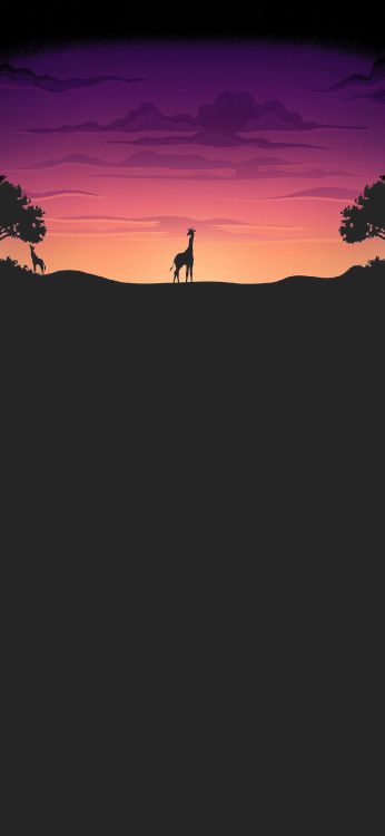 Ambiente, Ecorregión, Paisaje Natural, Sucursal, Highland. Wallpaper in 1170x2532 Resolution