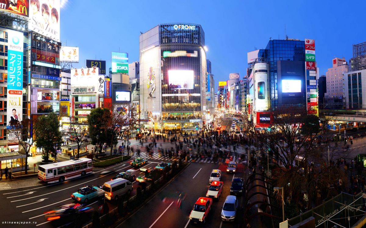 Autos Auf Der Straße in Der Stadt Während Der Nachtzeit. Wallpaper in 2560x1600 Resolution