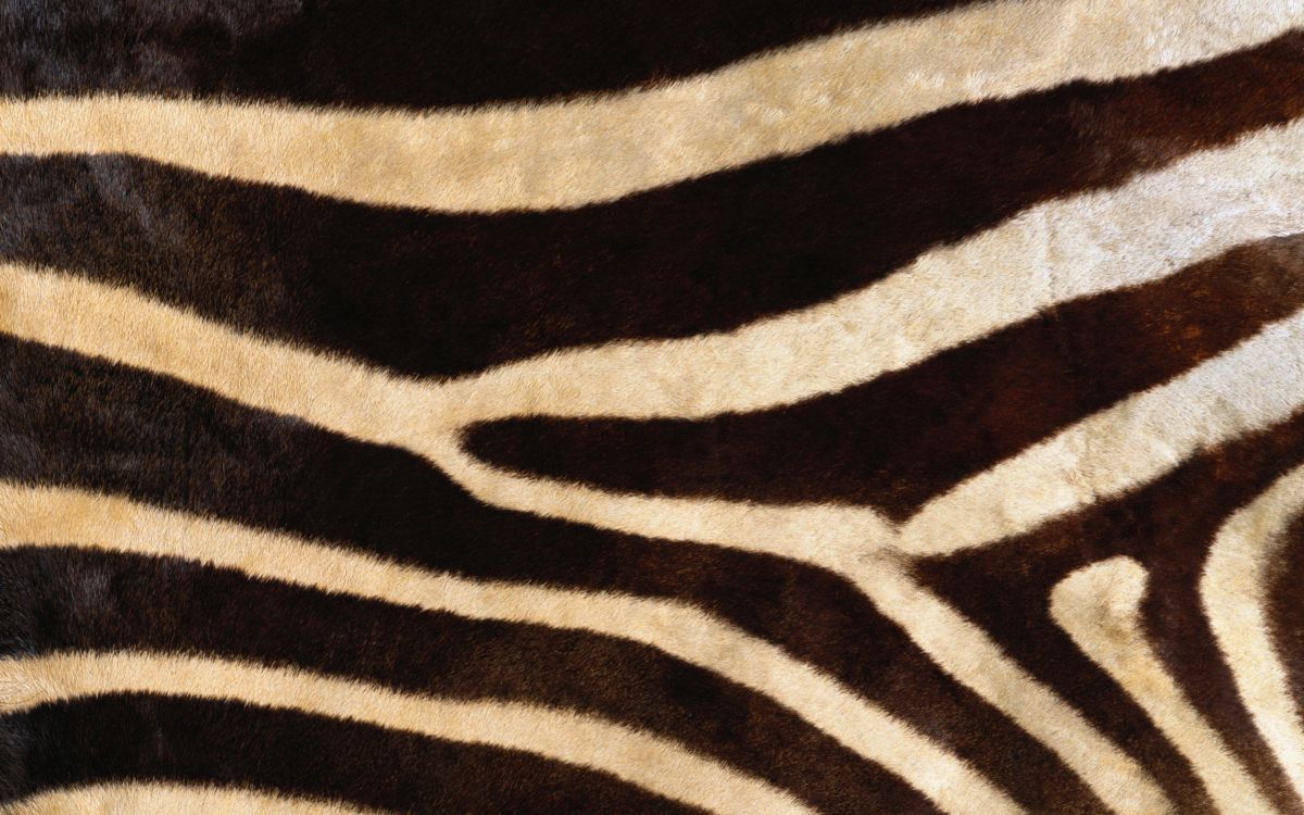 black and white zebra textile