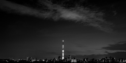 Image grayscale photo of city buildings